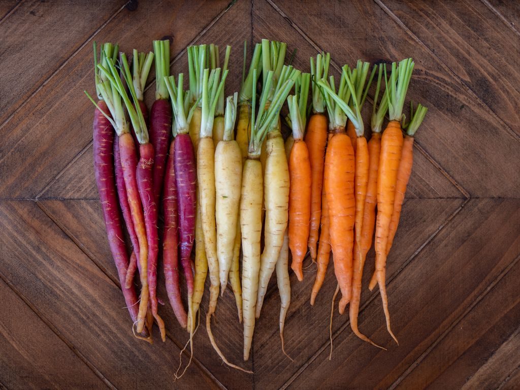Variétés de carottes