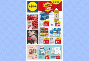 Catalogue Lidl du 8 au 14 février 2023