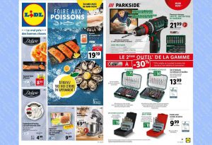 Catalogue Lidl du 29 mars au 4 avril 2023