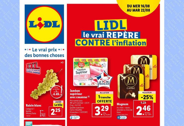 Catalogue Lidl du 16 au 22 août 2023